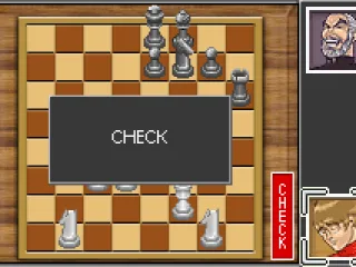 White king is in check.