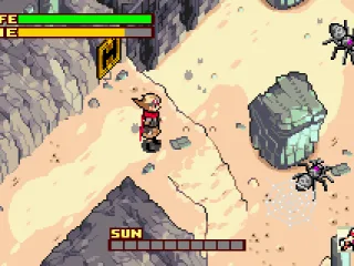 Spiders fill the area with webs, so it's best to get rid of them fast.