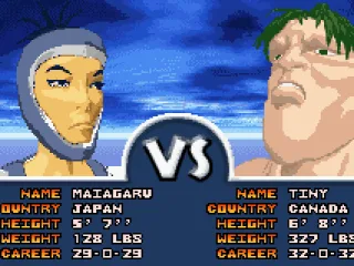 Introduction screen: Maiagaru vs. Tiny