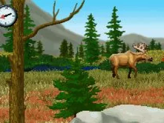 Be patient and smart, and you might get close enough for a shot...