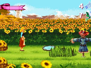 In a field of sunflowers