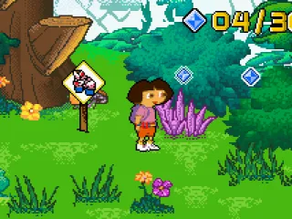 I see gems in the rainforest