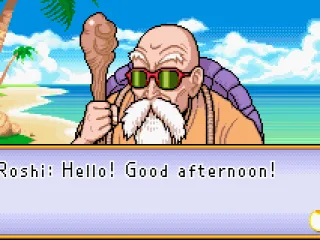 Meeting Master Roshi