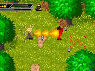 Trunks training for the tournament.