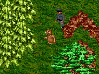 Chased by the police...