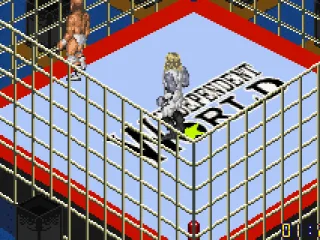 The cage flickers as one of the fighters goes face first into it. Zaaap!