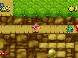 The circle things are the