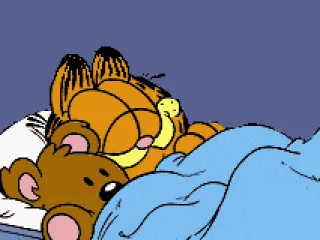 Intro: One night, Garfield was sleeping with Pooky by his side.