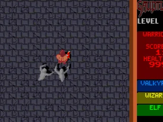 Gauntlet: the first enemies you see are ghosts.