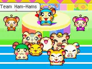 9 Team Ham-Hams