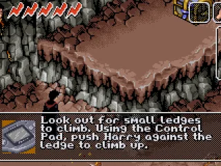 Tutorial instructions