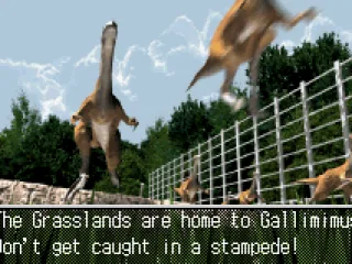 Before starting a stage, you are shown some information about the stage