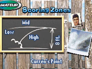 View of the scoring zones