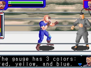 The gauge comes in when applying grappling techniques