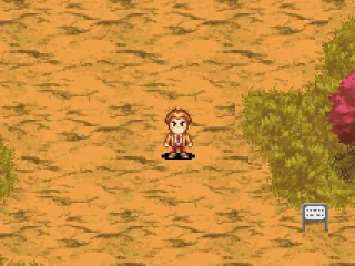 Beginning of the game