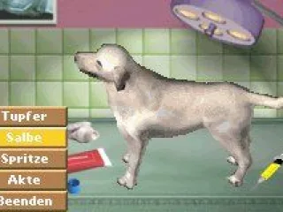 medical treatment of a dog