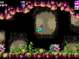 These enemies can only be damaged from behind.