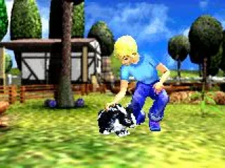 Nurse your pets well.