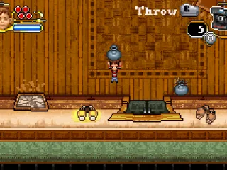 Some objects can be picked up and thrown