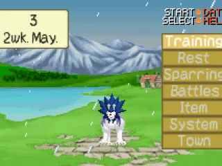 Your Ranch is where you will do most things such as training and battling in tournaments