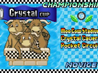 Championship mode: selecting a cup