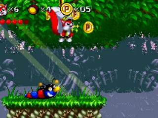 Collecting enough of these coins unlocks a bonus stage.