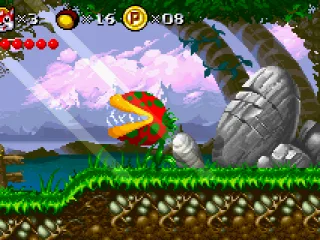 These plants are quite hard to kill.