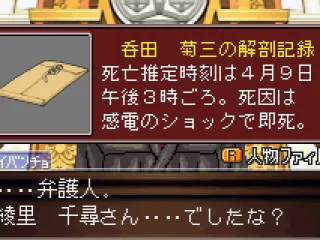 Checking the evidence - this describes the details of the death