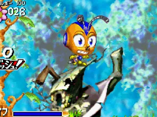 His head will often inflate.