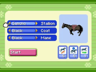 Choosing a horse and customizing its colours