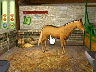 In our horse's stable