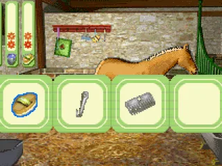 Several items for grooming the horse