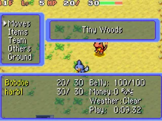 The Team Menu Screen