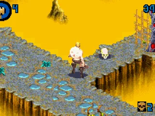 Skulls unlock forcefields, allowing He-man to proceed