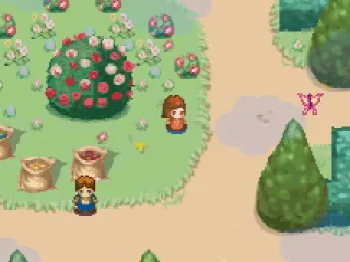 The beautiful garden