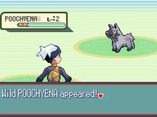 He doesn't look friendly...