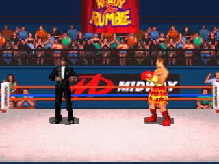 The fighters are introduced before the match starts.