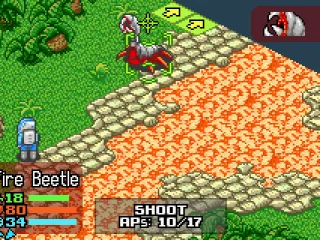 Fighting with Fire Beetle