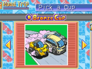 Pick what Cup you want to do.  You will have to complete each Cup in order to move on to the next one