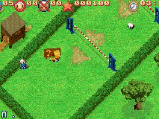 For a better view, it is possible to zoom out