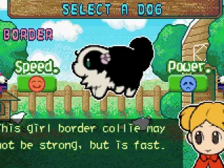 You can choose the type of dog to play