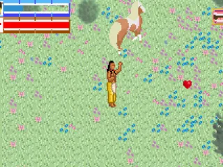 Trying to tame a horse