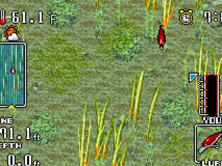 Come on now, stupid fish, I haven't got all day!