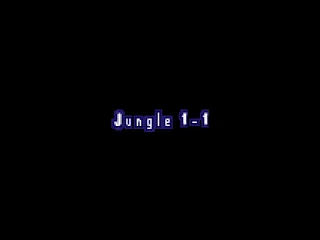 Jungle 1-1