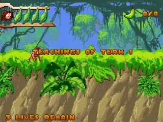 Starting the first level