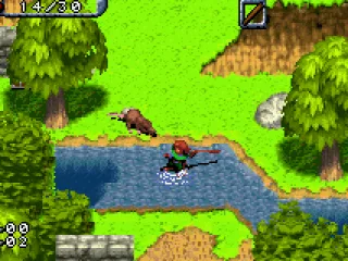 Attacking a large rat