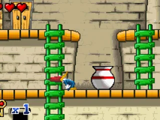 About to peck this vase