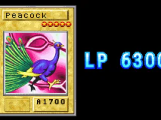 Directly attacking your opponent