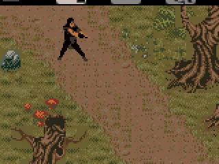 The game switches to a separate mode for combat.