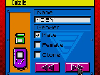 Input your information before you start to play